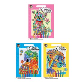 Coloreaza pe numere 23×30,5cm+8 creioane , Grafix