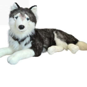 Plus catel Husky 60 cm