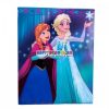 Coperta carte1 Frozen FOZ951 07 500x500 500x500 1