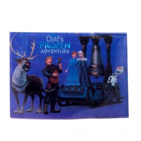 Coperta caiet muzica, biologie, geografie Frozen