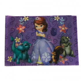 Coperta caiet muzica, biologie, geografie Sofia