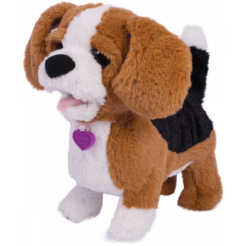 Noriel pets - Zigo - catelusul beagle 3 Noriel pets - Zigo - catelusul beagle