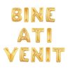 Set baloane folie "BINE ATI VENIT" 40cm 2 res 03ec2a5b70cfd92c8e474e1392d66784