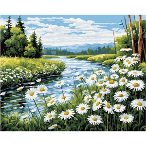 Pictura pe numere 40x50cm Rau