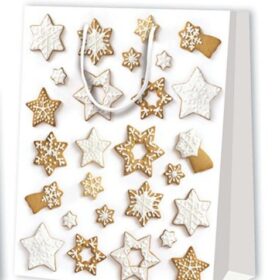 Punga cadou A4 Craciun Eko Art 260x127x324