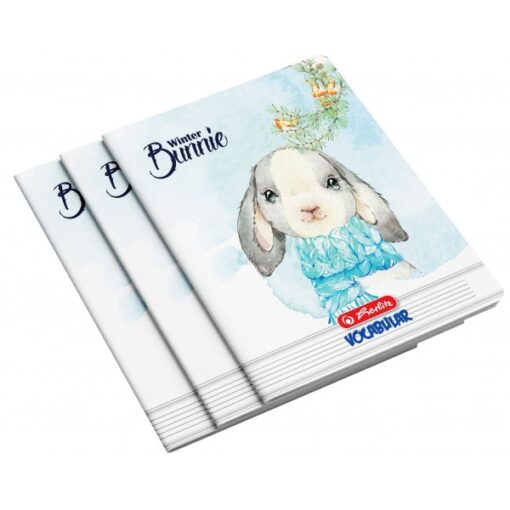 Vocabular 24 file Herlitz 5 Vocabular 24 file Herlitz - imagine 3